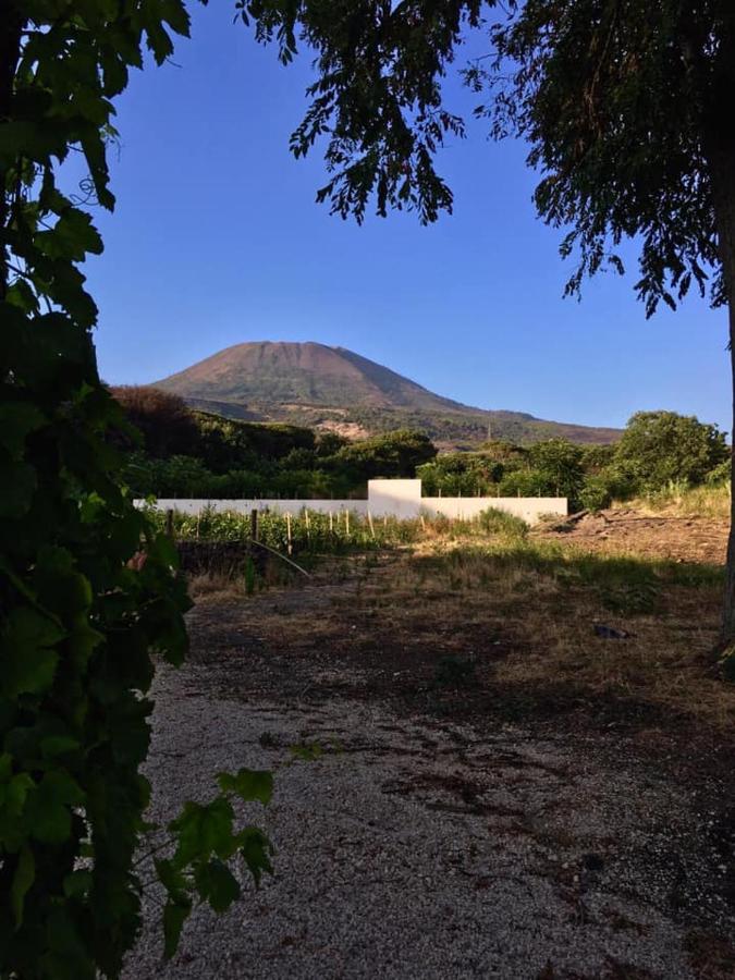 Villa Mazza Al Vesuvio Torre del Greco Exterior foto